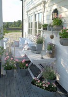 /album/balkon/a1779988-10152268477480159-38804590-n-jpg/