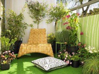 /album/balkon/a1795645-10152272597715159-1328558023-n-jpg/