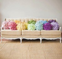 /album/a/a534181-10151042935205159-224868845-n-jpg/