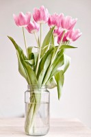 /album/%c3%a7i%c3%a7ekler-/a199095-203503289668914-2482664-n-jpg/