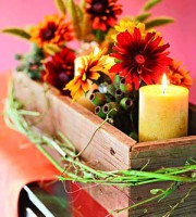 /album/%c3%a7i%c3%a7ekler-/a313246-295401520479090-1197455775-n-jpg/