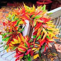 /album/%c3%a7i%c3%a7ekler-/a317463-295405393812036-843780628-n-jpg/