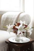 /album/%c3%a7i%c3%a7ekler-/a403854-340530079299567-2044630940-n-jpg/