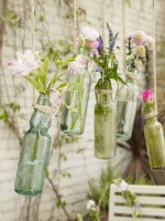 /album/%c3%a7i%c3%a7ekler-/a1912331-807526669266570-793609955-n-jpg/